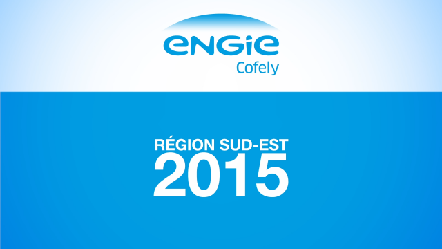 Engie Cofely Rapport 2015