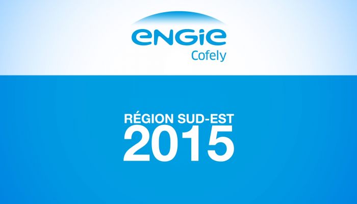 Engie Cofely Rapport 2015